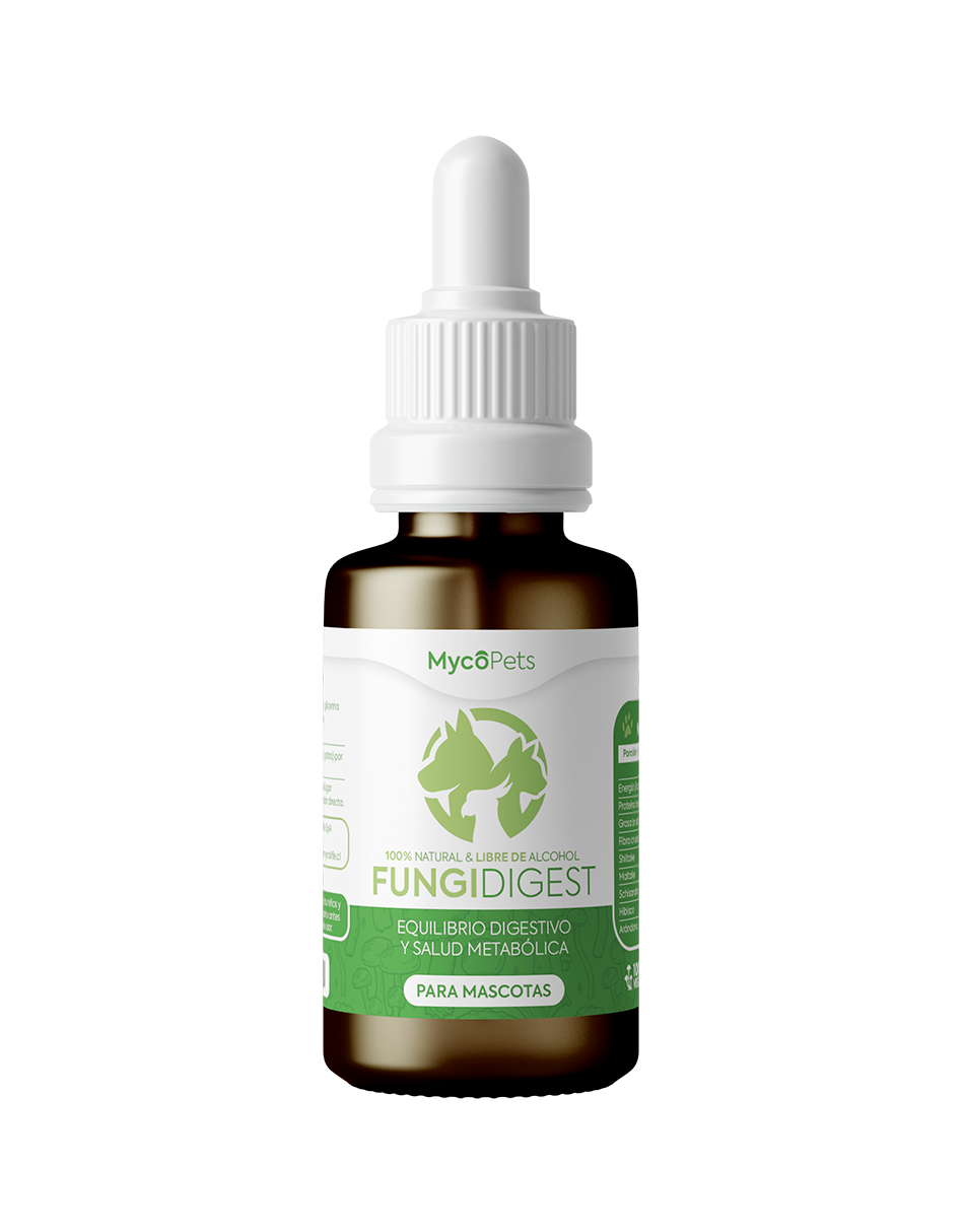Fungi Digest - Equilibrio digestivo y salud metabólica