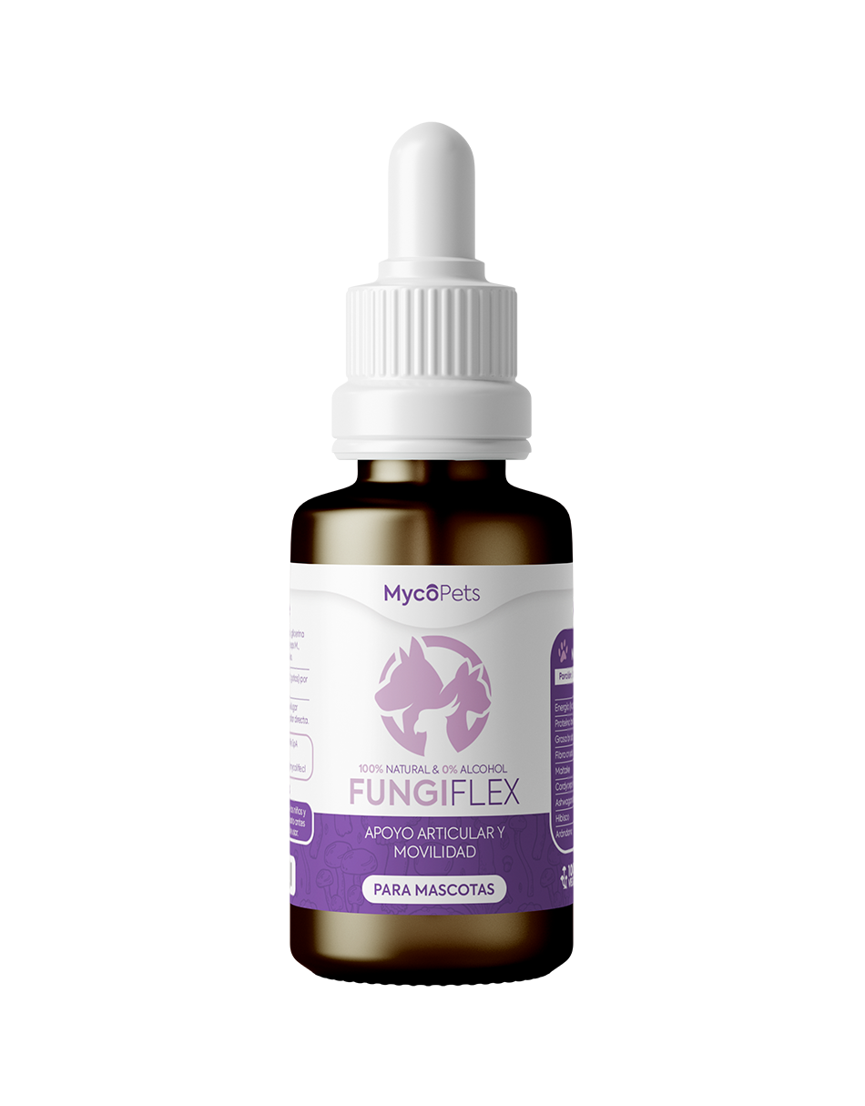 Fungi Flex - Renueva y protege riñones e hígado