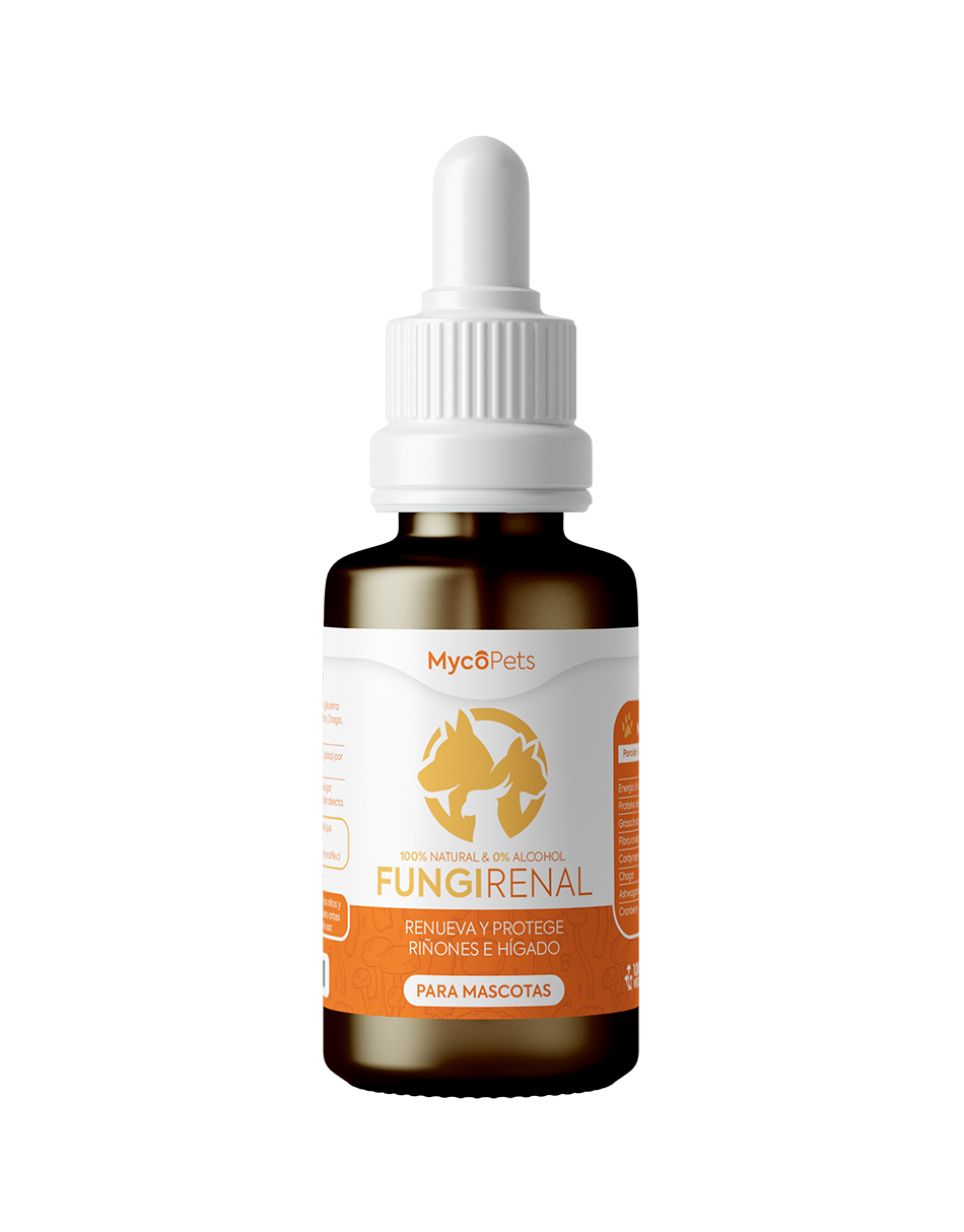 Fungi Renal - Renueva y protege riñones e hígado