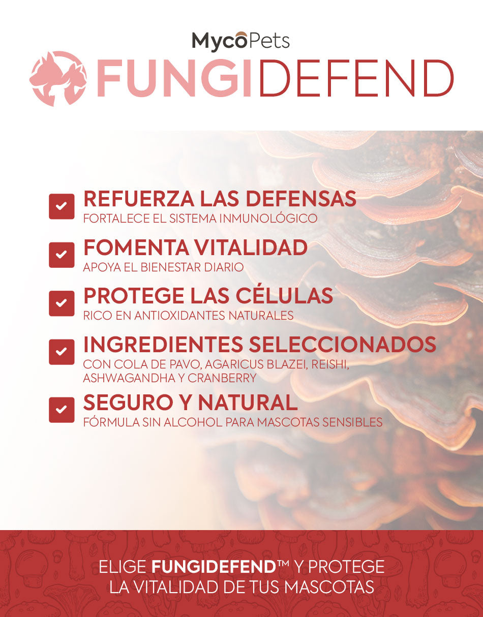 Fungi Defend - Protección inmunitaria y salud general