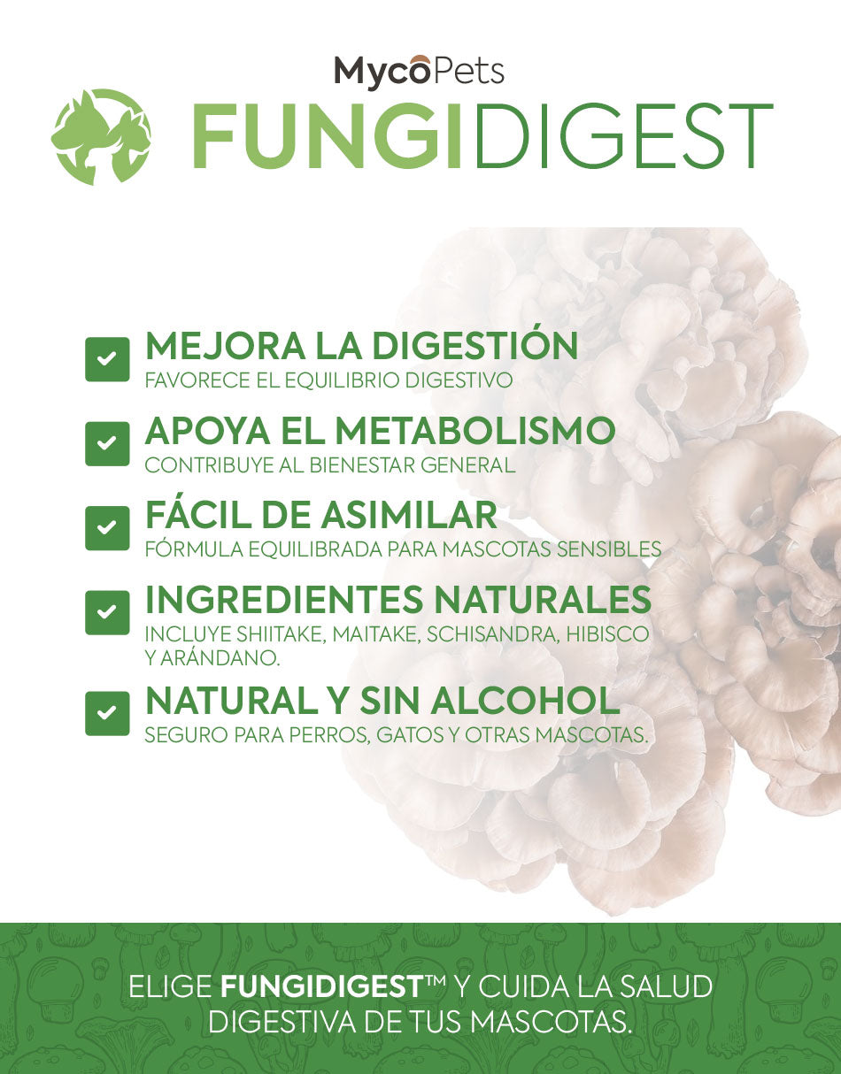 Fungi Digest - Equilibrio digestivo y salud metabólica