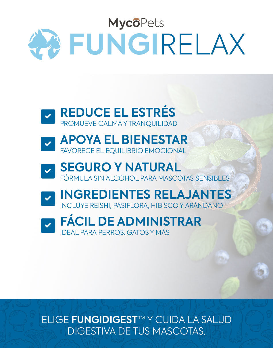 Fungi Relax - Relajación y reducción del estrés