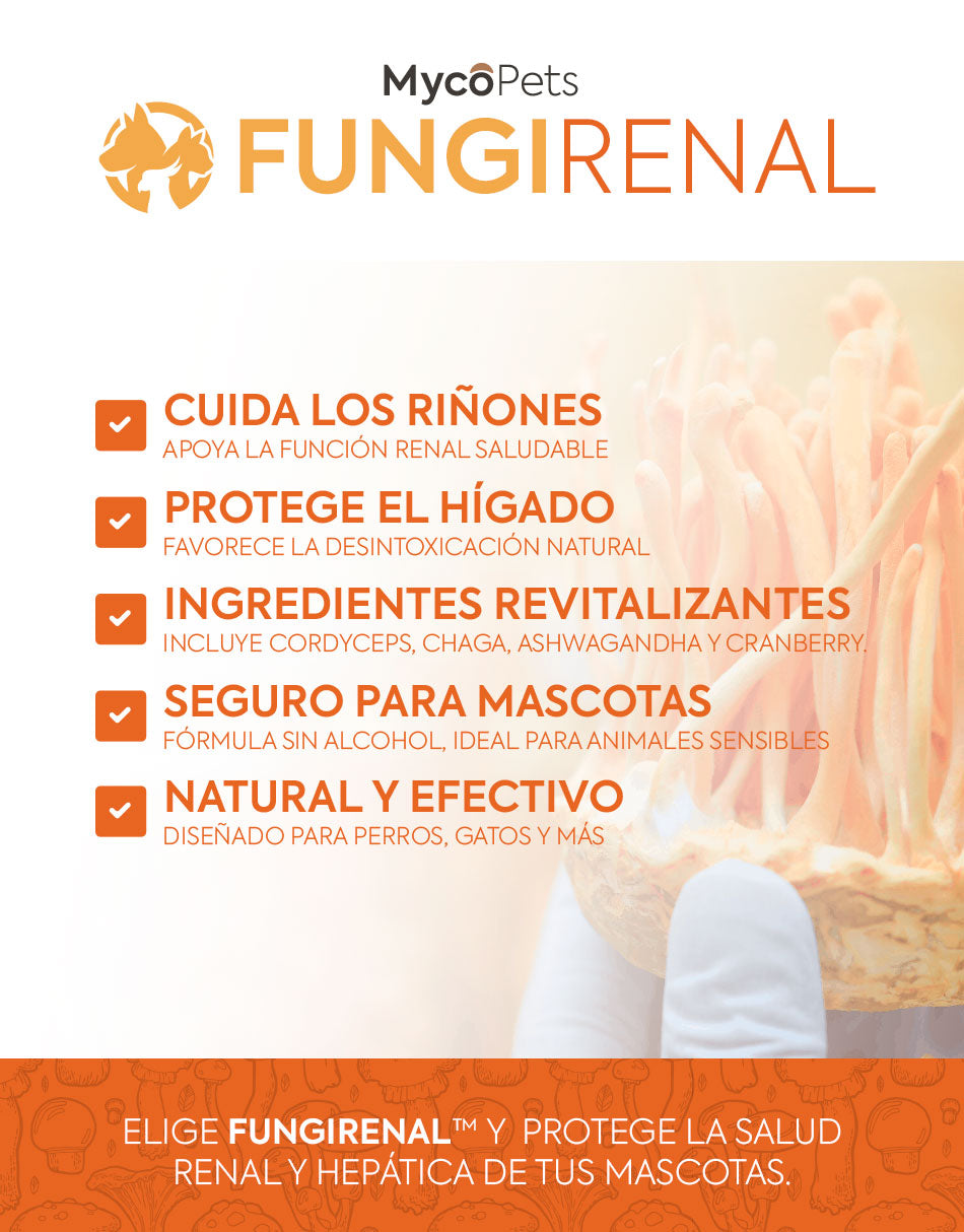 Fungi Renal - Renueva y protege riñones e hígado