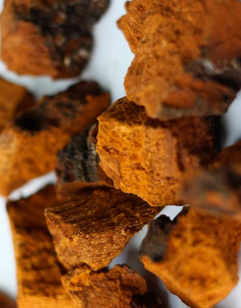 Chaga 30ml