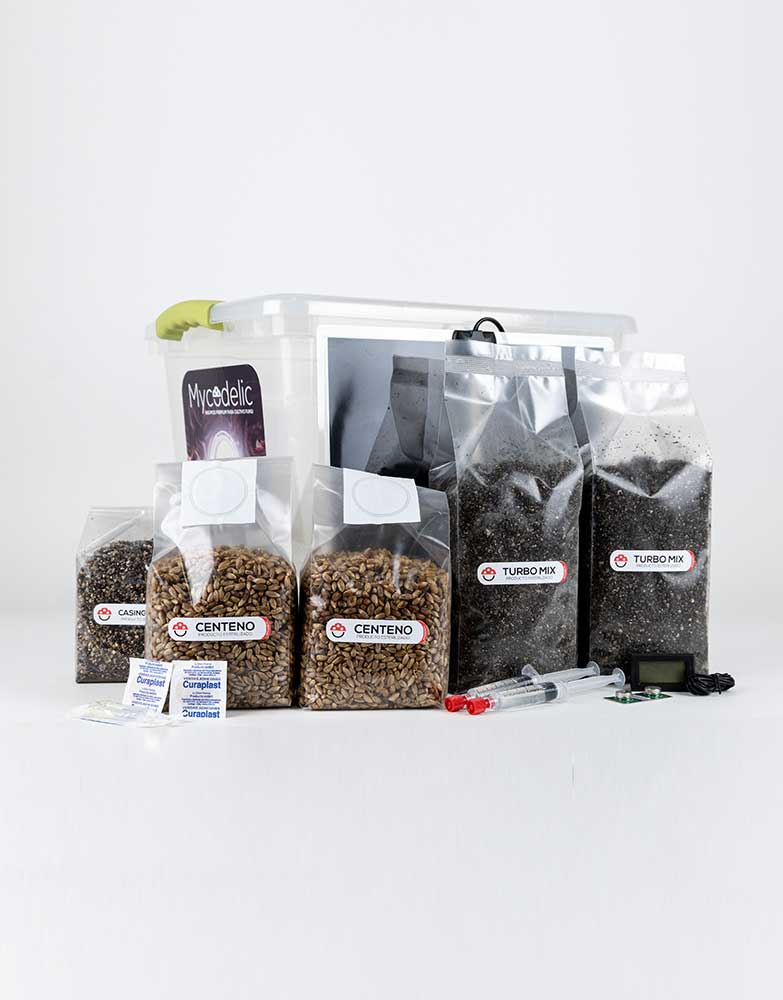 Kit Cultivo de Hongos 160g - Explosivo