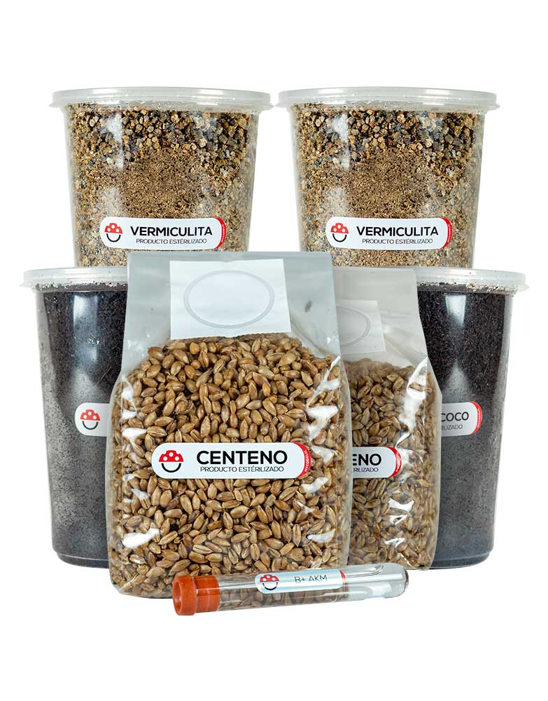 Kit Cultivo de Hongos 160g